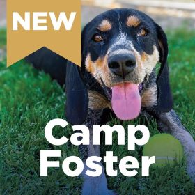 Camp Foster