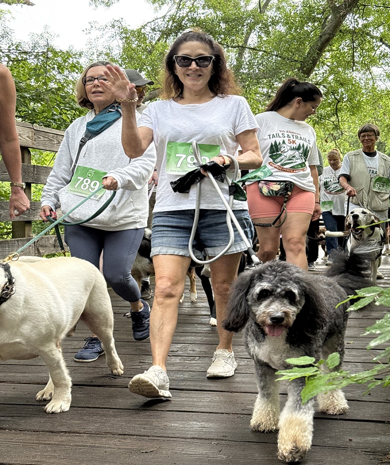 Run with your best running partner - your dog