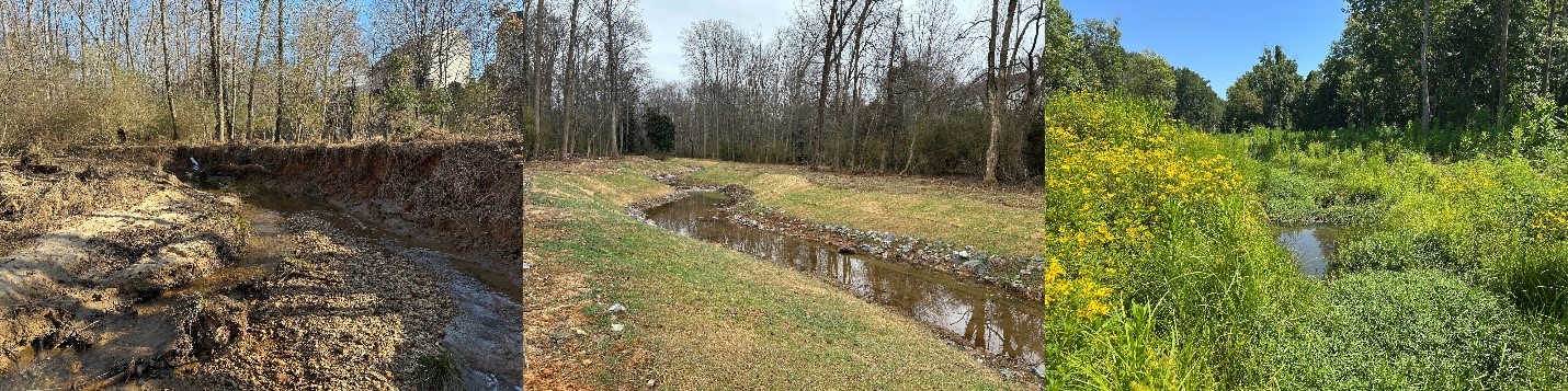 Laurel Creek Vicinity Map
