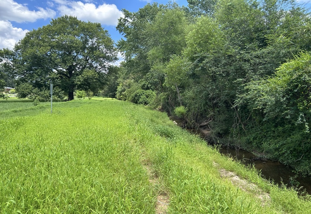 Little Creek 2