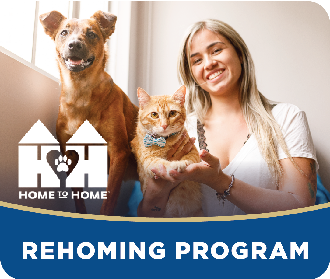 Rehoming Program